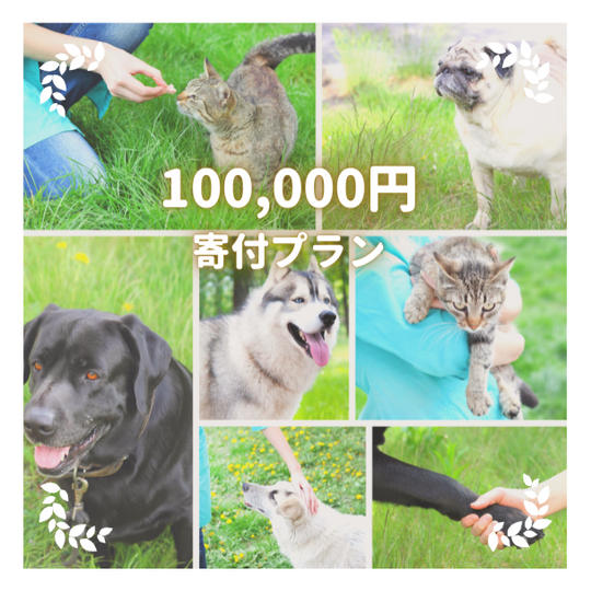 100,000円寄付プラン