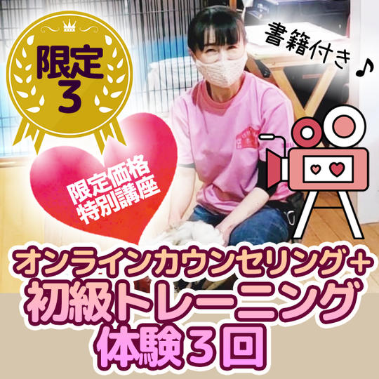 【限定3】限定価格特別講座！オンラインカウンセリング＋初級トレーニング体験 ３回