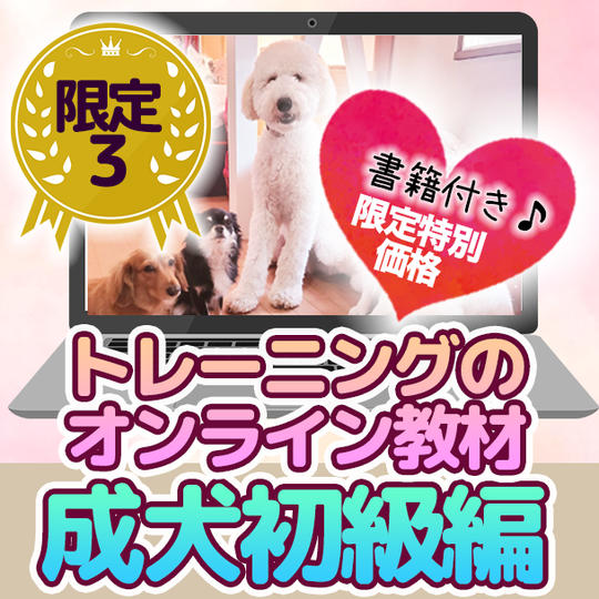 【限定３】「成犬初級編」トレーニングのオンライン教材（Vimeoリンクを送付）
