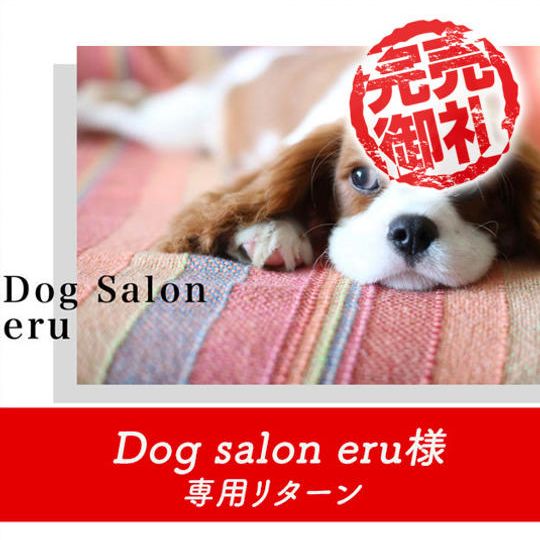 【Dog salon eru 様専用リターン】お店やご自宅の壁紙を張り替えます!