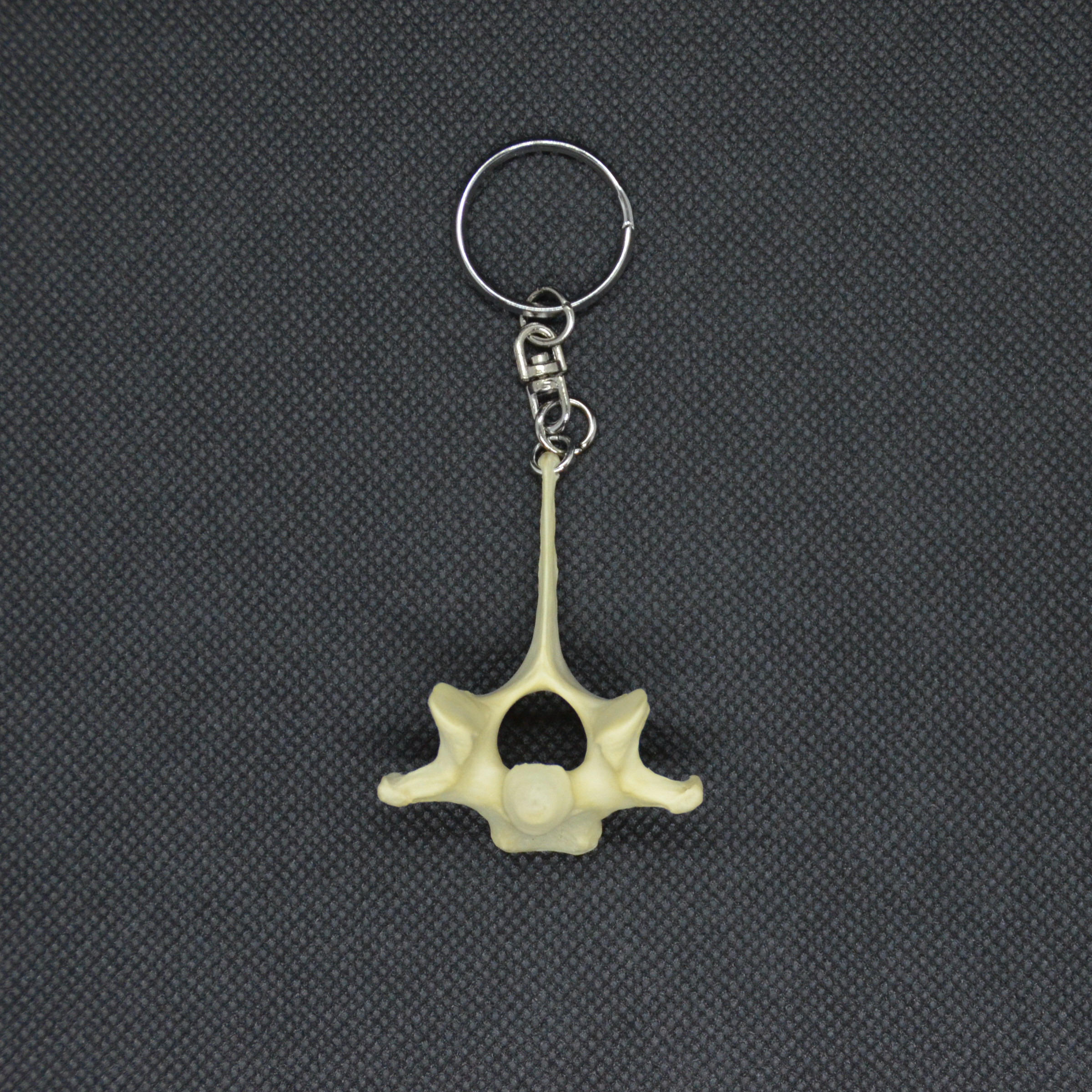 応援】キョンの背骨のキーホルダー＋ ふわふわの感触が