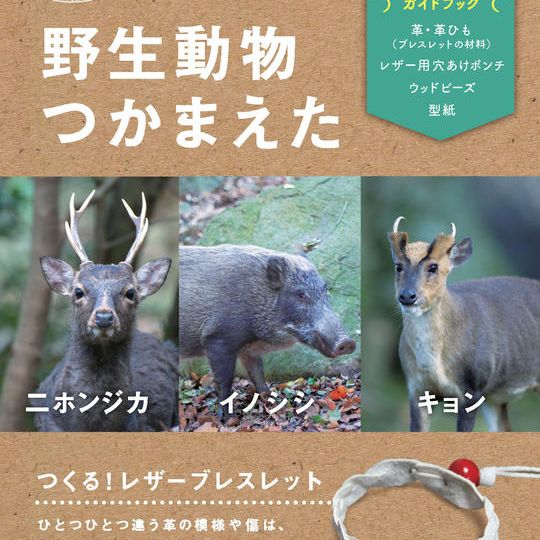 野生動物つかまえた　つくる！レザーブレスレット（教材キット）【C-VALUE限定　キョン革・シカ革・イノシシ革　詰合せ】