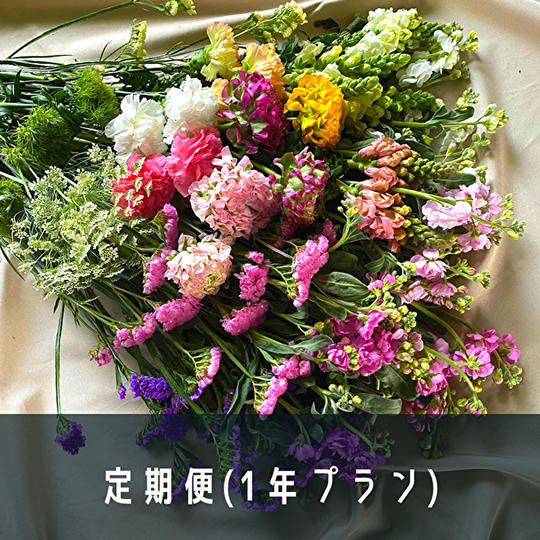 【法人プラン】花で溢れる南房総の魅力を毎月お届けする1年定期便プラン！