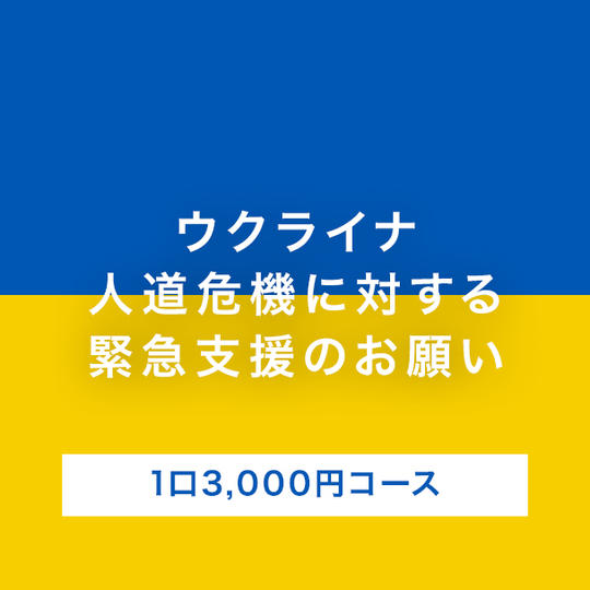 【B】領収書なし/1口3,000円コース