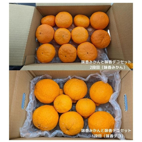 味香みかんと味香デコのセット 5㎏