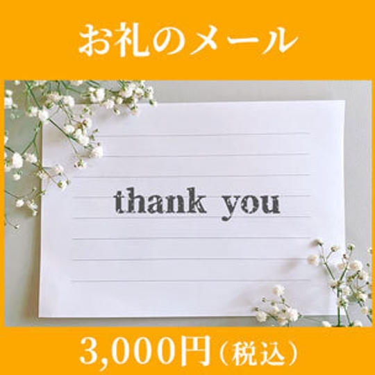 応援（寄付）：3,000円