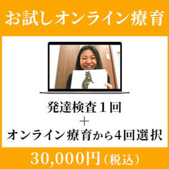 お試しオンライン療育：30,000円