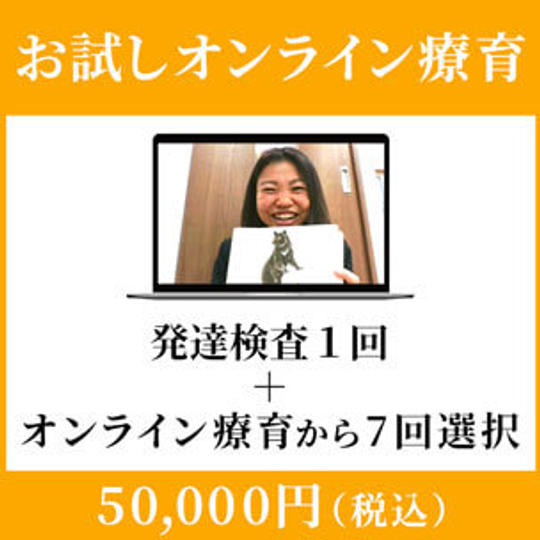 お試しオンライン療育：50,000円