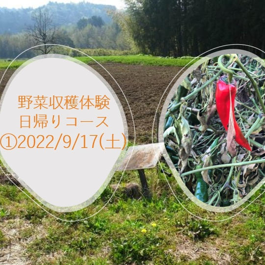 【①9月17日】野菜収穫体験/日帰りコース(昼お弁当付き)