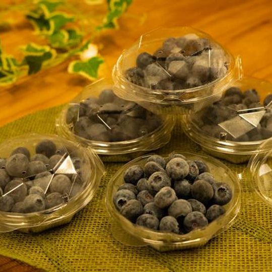 ブルーベリー（生果）5パックセット