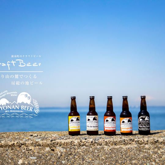 鋸南ビール10本セット【5種類×2本】