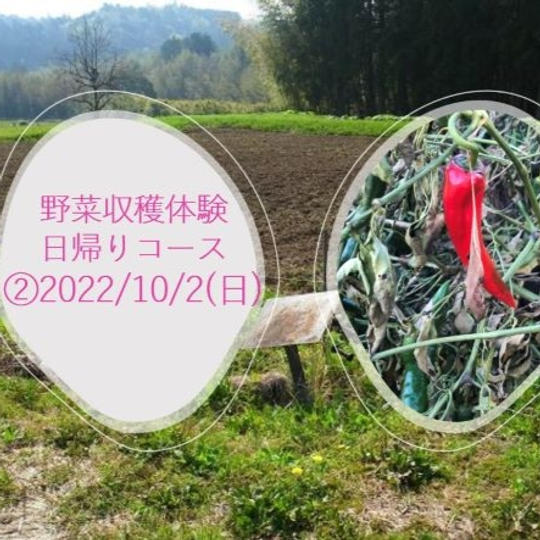 【②10月2日】野菜収穫体験/日帰りコース(昼お弁当付き)