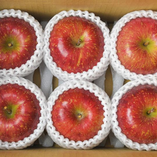 【蜜入り保証】米崎りんご　サンふじ　5~6個入り