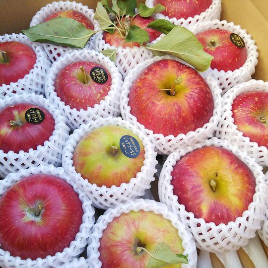 【10月品種】米崎りんご5㎏（2種類以上、15～18個入）