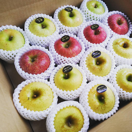 【11月の品種】米崎りんご5㎏（2種類以上、15～18個入）