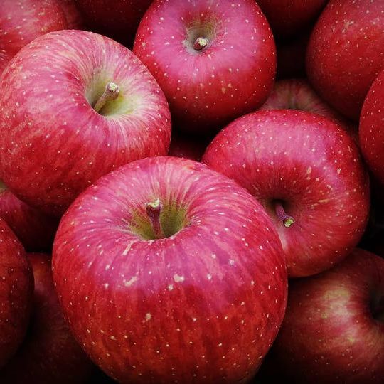【蜜入り保証】米崎りんご サンふじ 5㎏（14～20個入り）