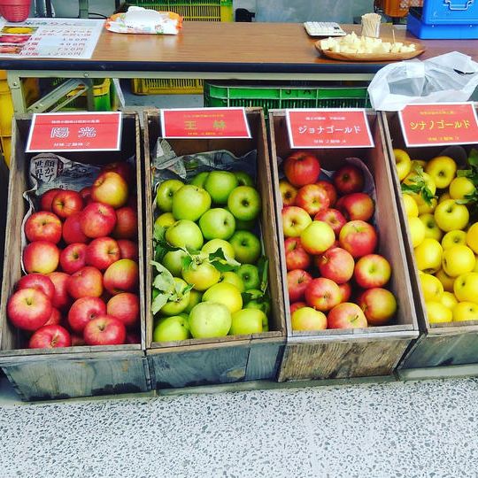 【お菓子加工用】米崎りんご　10月と11月　各10㎏ずつ発送！