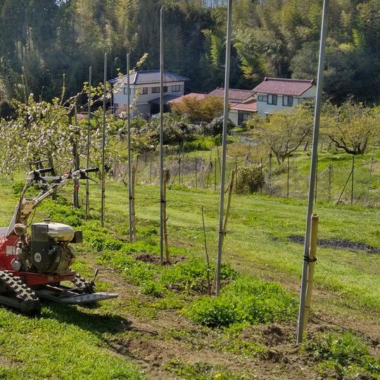 【イドバダアップルの畑にりんごのいのち（苗木）を贈る権】