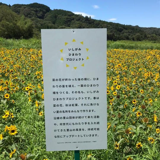 「企業向け」ひまわりの苗100株寄付+協賛企業として御社名を看板とフォトブックへ記載
