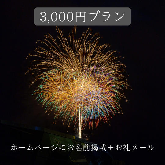 【公式ホームページにお名前掲載+お礼メール】