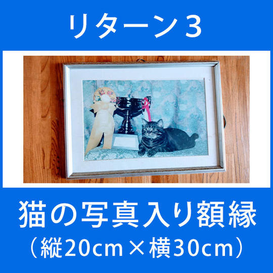 リターン３：猫の写真入り額縁（縦20cm横30cm）