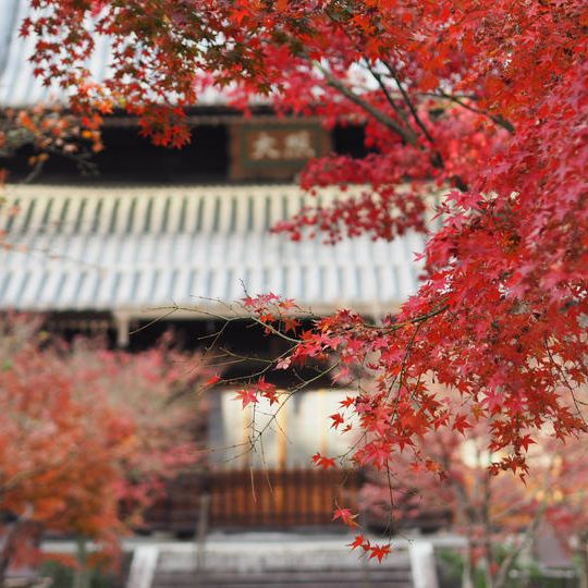 【特別体験】11月20日 秋 (紅葉の季節) の限定特別拝観と法話