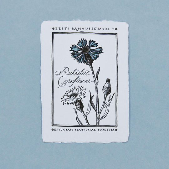 寄付金額(返礼はお礼メール)