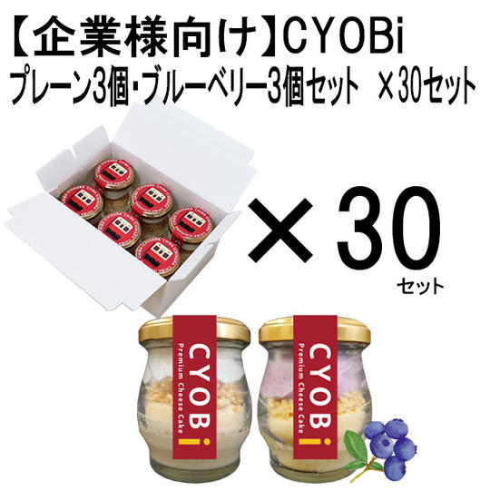 【企業様向け】プレミアムチーズケーキ「CYOBi」 2種詰め合わせ6個セット×30セット