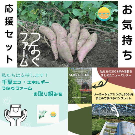 【お気持ち応援セット】2021年版ニュースレター&ソーラーシェアリングSDGsパンフレットとサツマイモ【4kg】