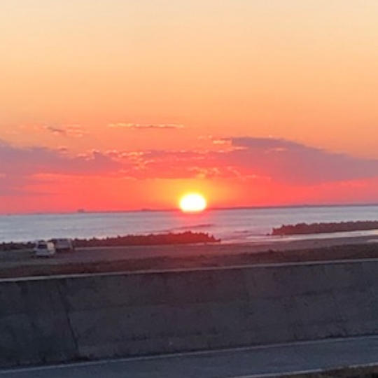 ドライブイン観覧+花火弁当お一人様分