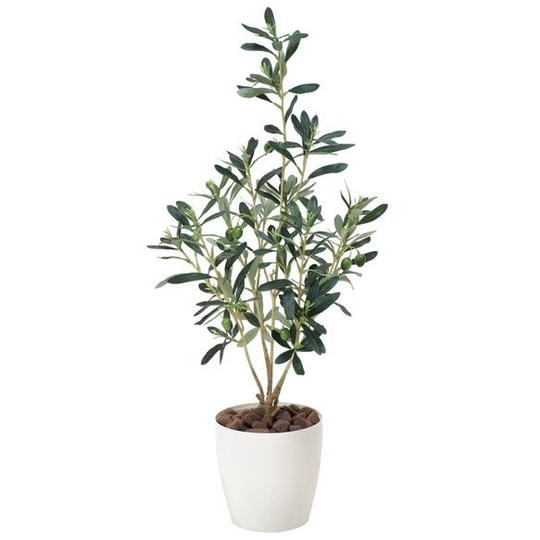 【感謝！ずっと大切に育てます】『祝開店！祝い花』観葉植物を贈る券