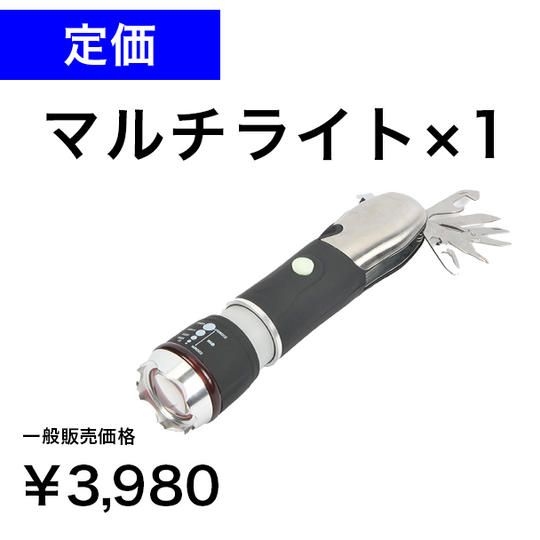 マルチライト1個
