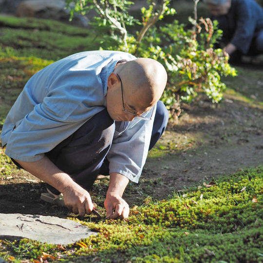 禅寺作務 半日体験　11月27日