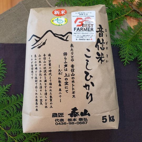 【音信米】献上米　新米こしひかり５ｋｇ