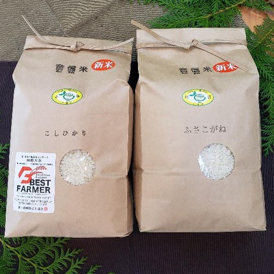 【C-VALUE限定】音信米　こしひかり×ふさこがね　絶品新米食べくらべセット②