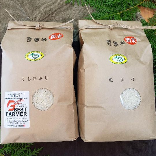 【C-VALUE限定】音信米　こしひかり×粒すけ　絶品新米食べくらべセット③