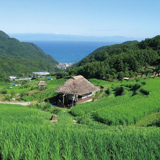 静岡県松崎町復興支援金（一口 10,000円）