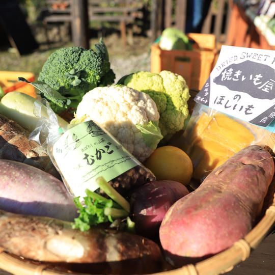 旬の野菜たまてばこ　晩秋（１回お送り）