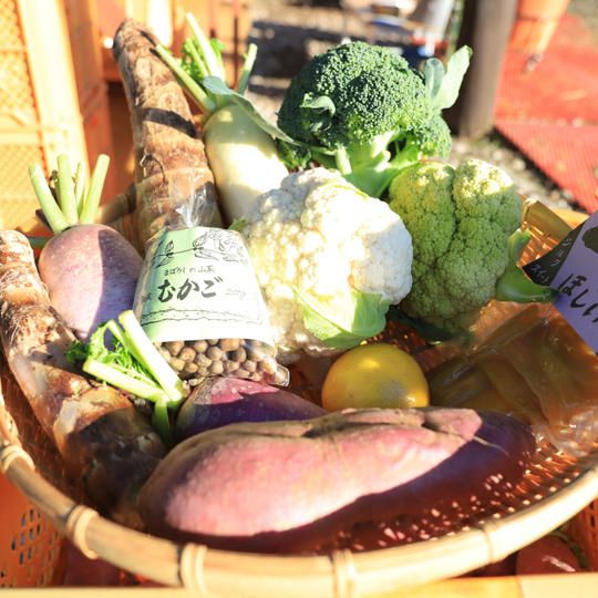 旬の野菜たまてばこ　晩秋＋向春（2回お送り）