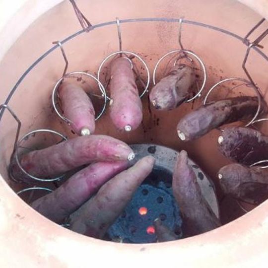 旬の野菜たまてばこ　晩秋＋向春＋花冷（3回お送り）