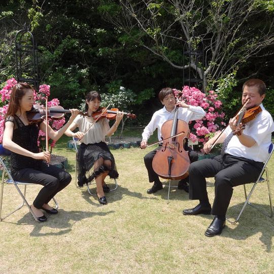 【弦楽四重奏で社歌、校歌・自作曲をCDにして応援!】とブルーダルグッズ