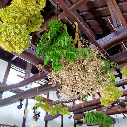 魔女からのお礼の手紙