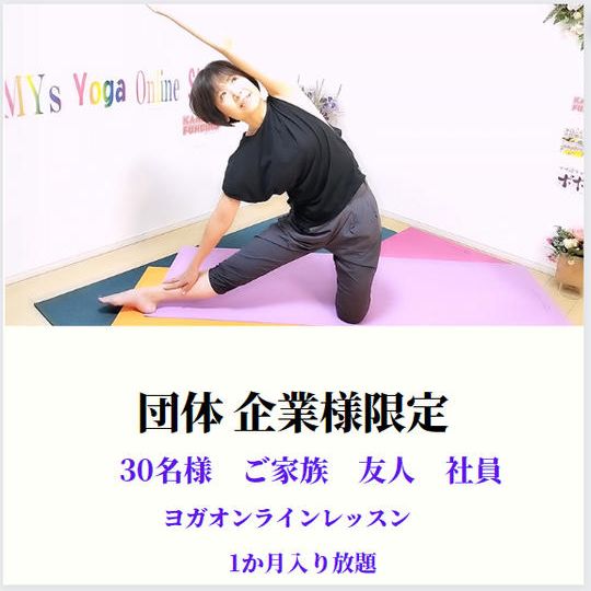 団体 企業様限定 30名様まで 1か月 ヨガオンラインレッスン入り放題 