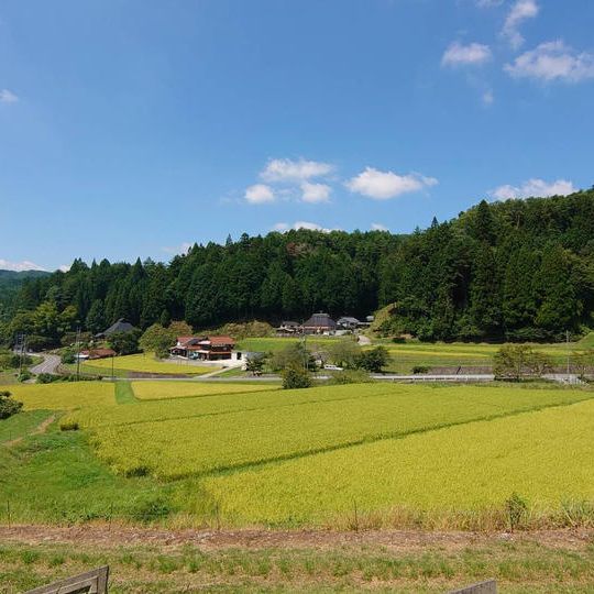 【5,000円コース】寺領のお米(3kg)を食べて美味しく応援!