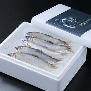 天然の冷凍鮎　500g（500ｇ以上保証）（北海道、沖縄、離島除く）