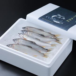 天然の冷凍鮎　500g（500ｇ以上保証）（北海道、沖縄、離島除く）