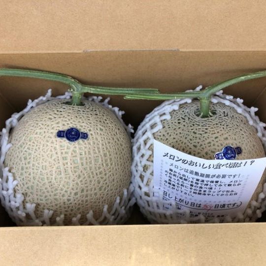 長生きマスクメロン2個入化粧箱