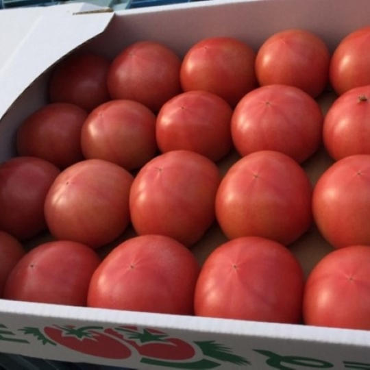桃太郎トマト(1箱)