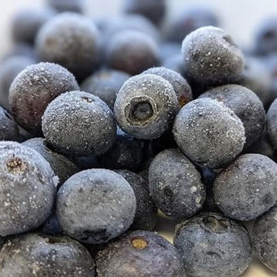 長野県中川村 富永農園さんの『 大粒冷凍ブルーベリー 約1kg 』【限定10セット 先着順】