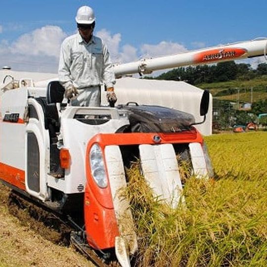 長野県中川村 富永農園さんの『 陣馬形米 約5kg 』【限定10セット 先着順】